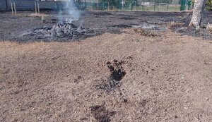 білозерка