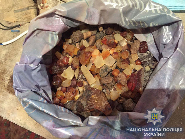 6 кг нелегального янтаря на 400 тыс. грн обнаружено при обысках на Житомирщине, - Нацполиция 03