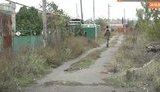 широкино