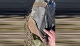 Из-за умышленных повреждений у сбитого российского пилота не сработала одна из самых надежных в мире систем катапультирования К-36. ВИДЕО