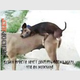 Причина всех бед