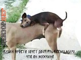 Причина всех бед