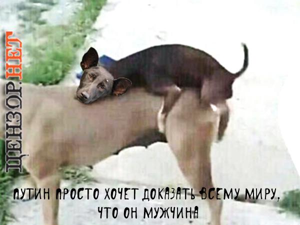 Причина всех бед