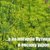 Константин Томиловский