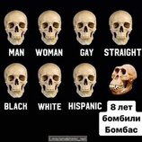 За результатами досліджень...