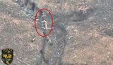 Голозадий окупант біжить по окопу, втікаючи від дрона. ВIДЕО