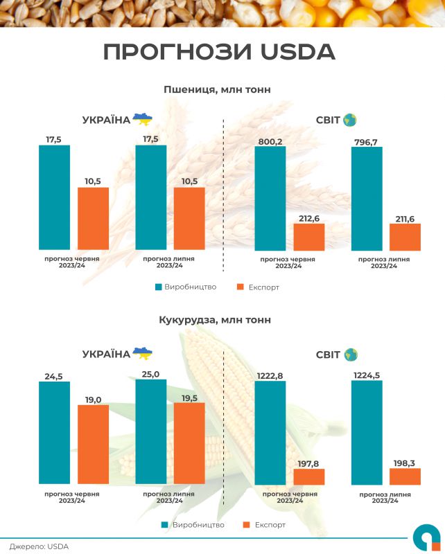 США збільшили прогнози українського виробництва та експорту кукурудзи 01