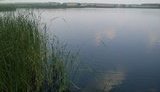озеро пруд ставок