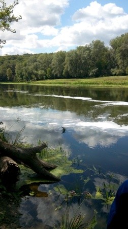 загрязнение