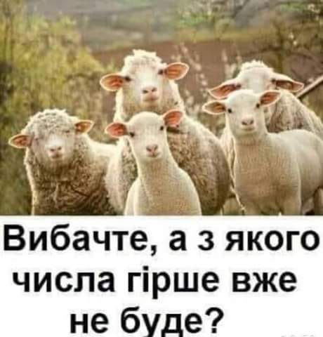 Зе!Годовщина. Достижения Президента за год в ФОТОжабах 09