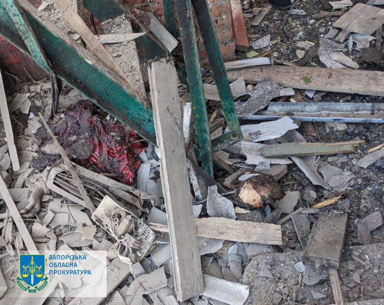 Враг обстрелял Малую Токмачку и Орехов, два человека погибли 03