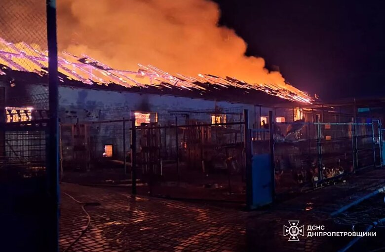 На Дніпропетровщині згоріла коноферма