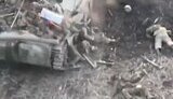 Occupiers are lying around infantry fighting vehicle