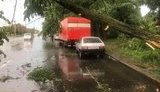 Потужна гроза в Києві та області повалила дерева і пошкодила автомобілі. ФОТОрепортаж