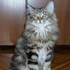 Катерина Бендеровская