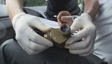 Задержание бандитской группировки: охота длилась пару лет. ФОТОрепортаж