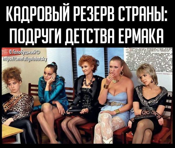 Кадровий резерв країни. Принцип добору кадрів командою Зеленського у ФОТОжабах 04