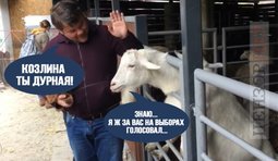Прозрение