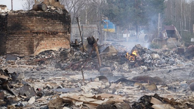 Причина лісових пожеж - приховування вирубки лісів, - Білецький показав кадри наслідків підпалів на Житомирщині 11 Причина лісових пожеж - приховування вирубки лісів, - Білецький показав кадри наслідків підпалів на Житомирщині 11