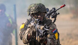 армія,нідерланди