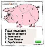 Туша коалиции