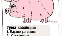 Туша коалиции