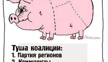 Туша коалиции