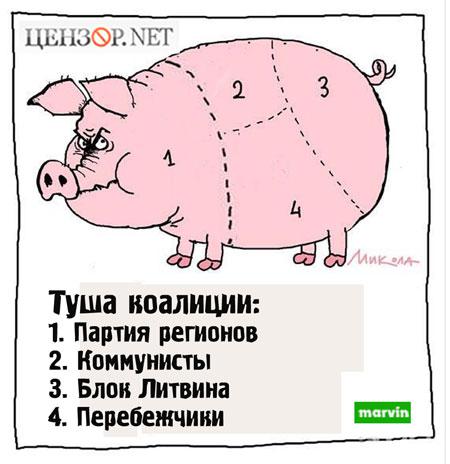 Туша коалиции