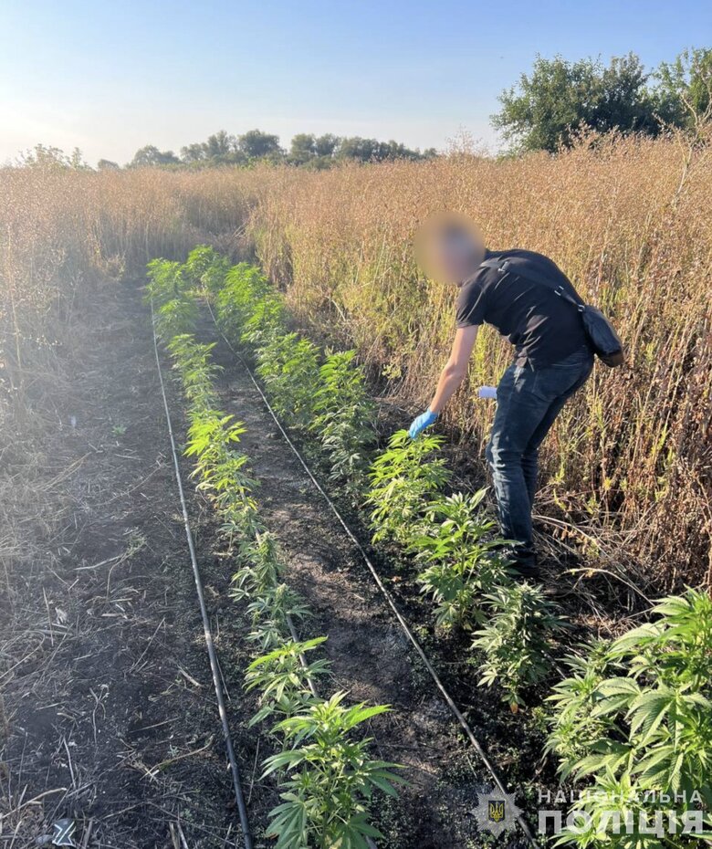 Сімейне угруповання на Дніпропетровщині організувало наркобізнес на 50 млн грн — 10 підозр