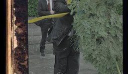 Культовый бестселлер от Януковича