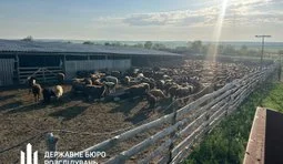 Посадовицю Одеської Держпродспоживслужби та фермера підозрюють у махінаціях із держпрограмою