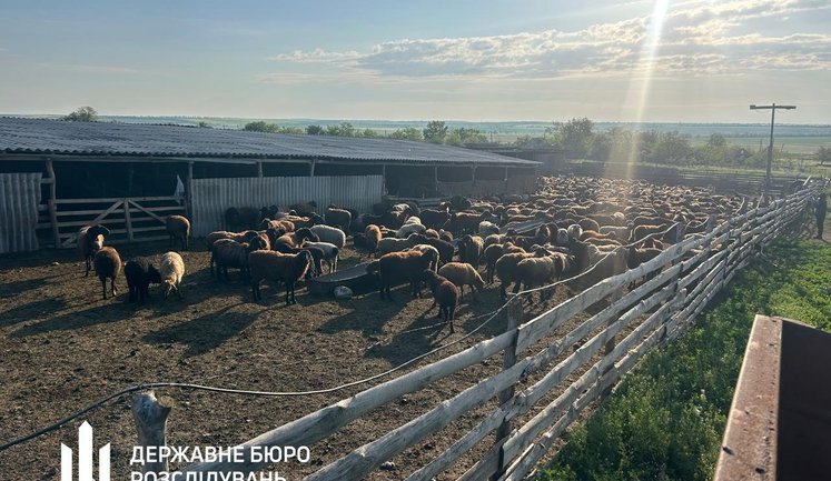 На Одещині викрили схему розкрадання 20 млн грн на дотаціях для тваринництва. ВІДЕО+ФОТОрепортаж