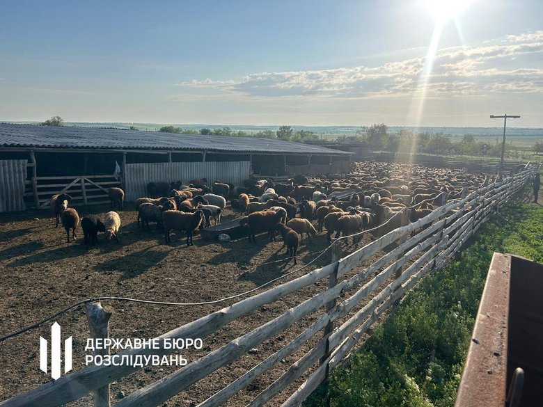 An official from the Odesa State Food and Consumer Service and a farmer are suspected of fraud involving a state programme