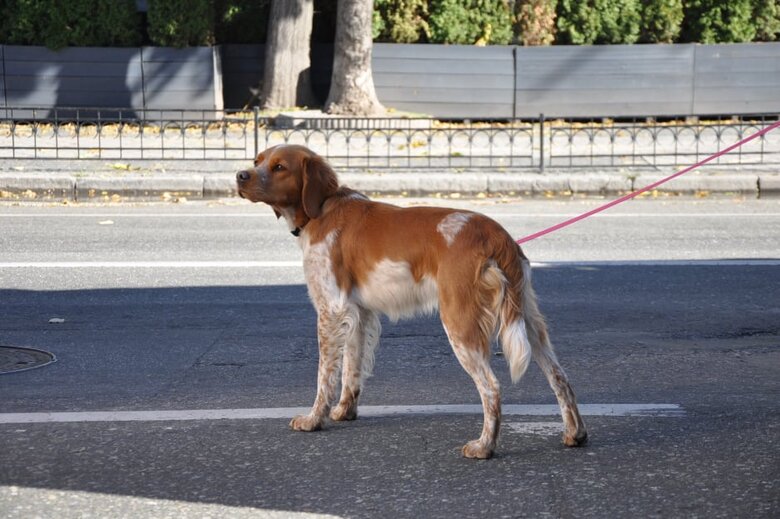 At site of kamikaze drone attack in Kyiv, rubble is being cleared 44
