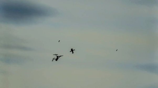 Цензор.НЕТ Зображення