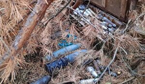 Mushroom picker found ammunition depot in forest in Zhytomyr region, - Ministry of Internal Affairs. PHOTOS