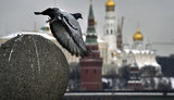 москва,кремль,росія,санкції