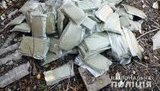 21 кг марихуаны на сумму более 1 млн грн изъяли у мужчины на Донетчине, - Нацполиция. ФОТОрепортаж