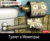 Туалет в Межигорье