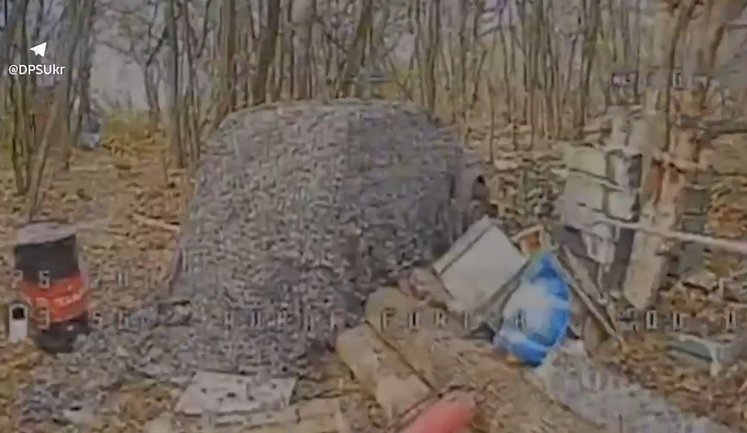 Дрони прикордонників нищать логістику ворога: знищено 3 автівки та позиції запуску БпЛА. ВIДЕО