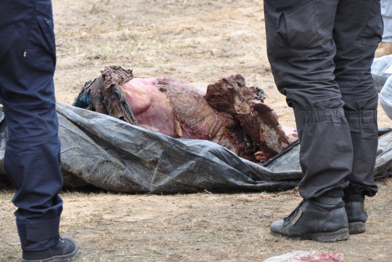 В Бучі ексгумують з братської могили тіла вбитих росіянами мирних жителів: Майже всі з вогнепальними пораненнями, деякі із завязаними руками та ногами 40