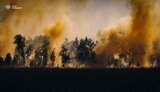 На Київщині ДСНС врятувала ціле село від пожежі