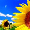 Михаил Винниченко #350548