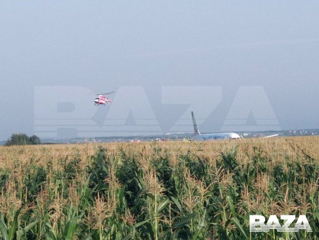Crimea-bound passenger jet makes emergency landing in cornfield near Moscow 04
