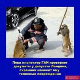Страна непуганных идиотов
