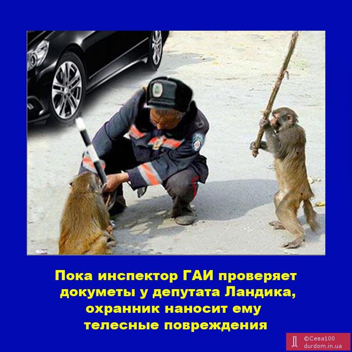 Страна непуганных идиотов