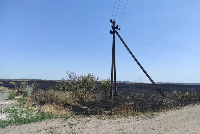 Оккупанты целенаправленно уничтожают урожай на Херсонщине, открыты уголовные производства, - полиция 03