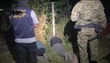 ухилянти