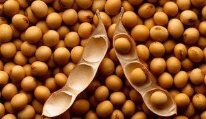 соя