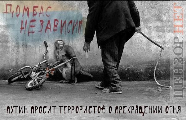 Диалог с дрессировщиком